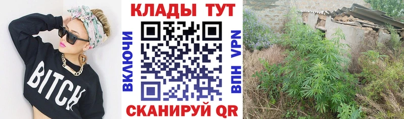 Псилоцибиновые грибы Ленск