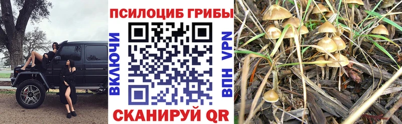 Псилоцибиновые грибы MAGIC MUSHROOMS Ленск
