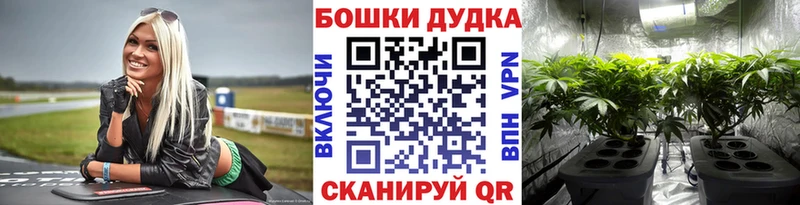 кракен маркетплейс  сколько стоит  Ленск  Марихуана OG Kush 